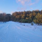 Działka budowlana Rokitnica. Zdjęcie 4
