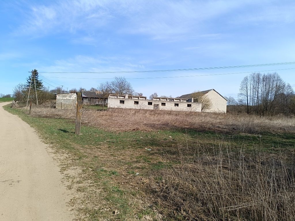 Działka rolno-budowlana Gołębie. Zdjęcie 7