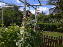 Działka rod Białystok Dojlidy, ul. Dojnowska. Zdjęcie 1