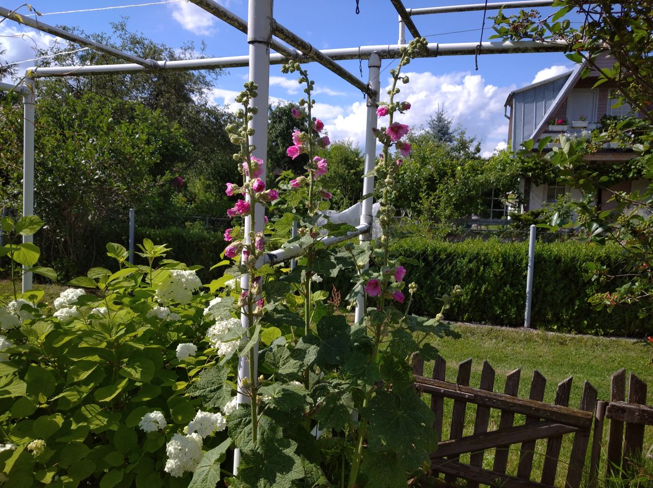 Działka rod Białystok Dojlidy, ul. Dojnowska. Zdjęcie 2