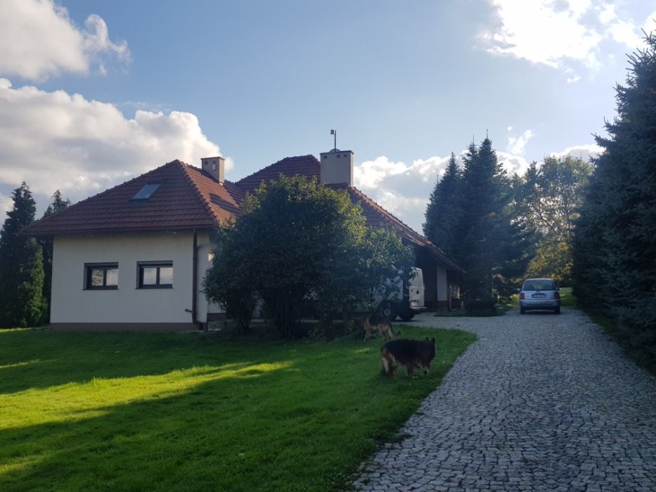 dom wolnostojący Wierzchowie