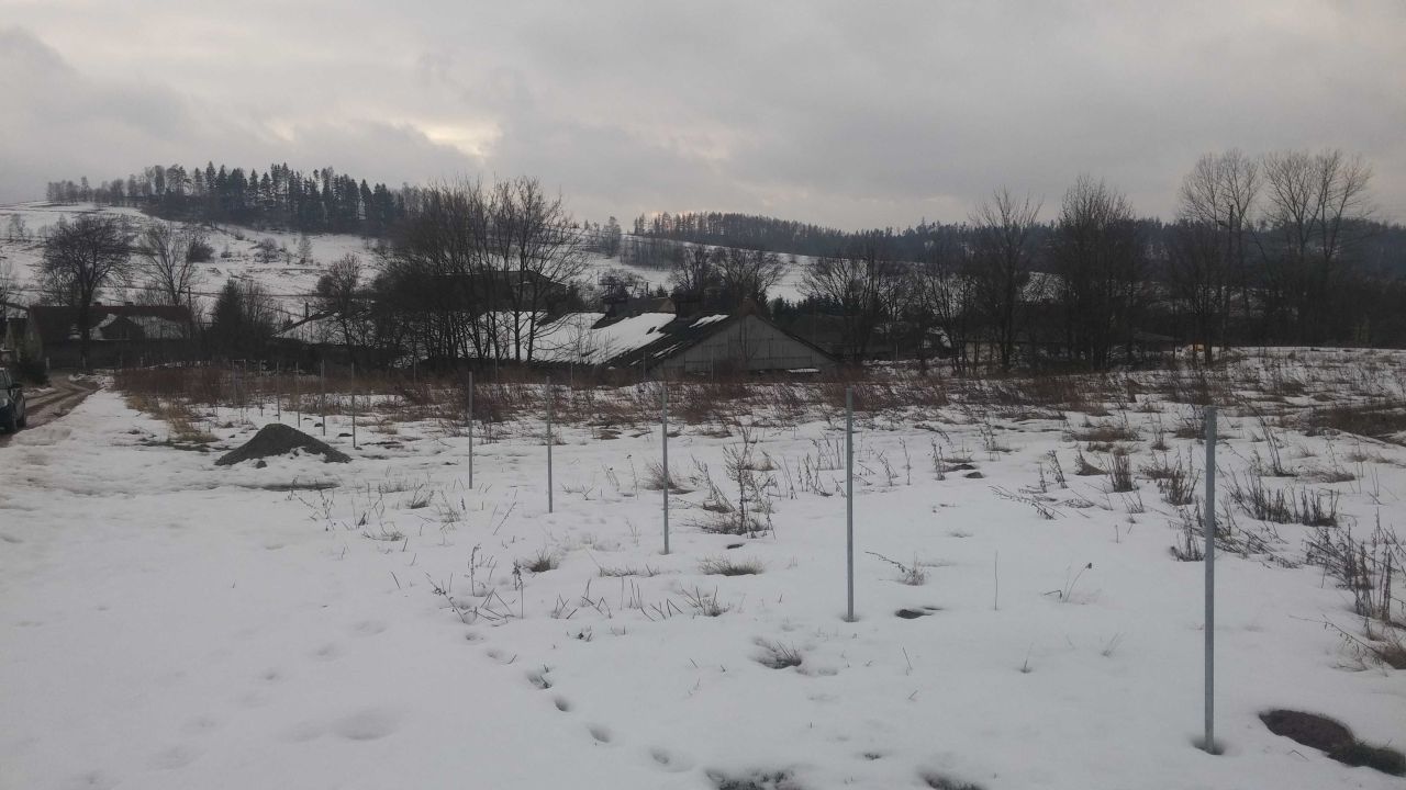 Działka budowlana Wolibórz. Zdjęcie 8