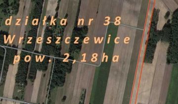 Działka inwestycyjna Wrzeszczewice Nowe