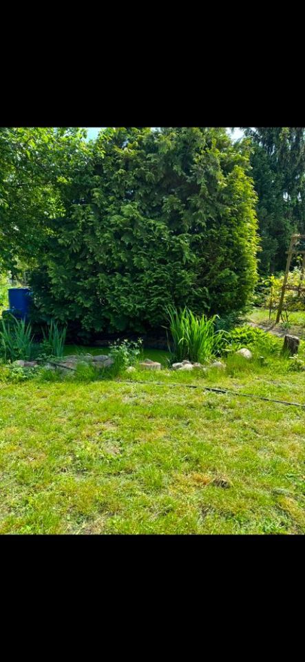 Działka rod Leszno, ul. Łąkowa. Zdjęcie 4