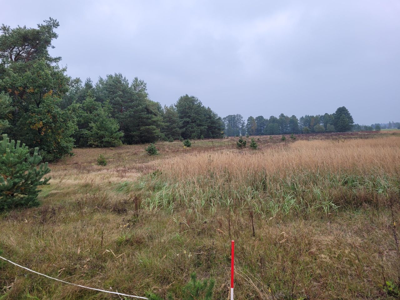 Działka budowlana Gnaty. Zdjęcie 3