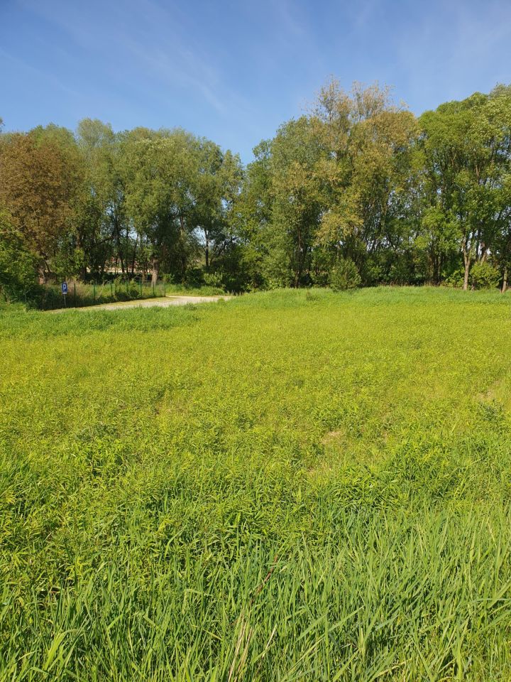 Działka rekreacyjna Zabierzów, ul. Nad Wodą. Zdjęcie 19