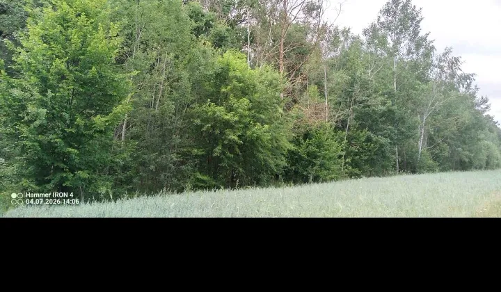 Działka leśna Opoczno Gorzałków, Gorzałkow