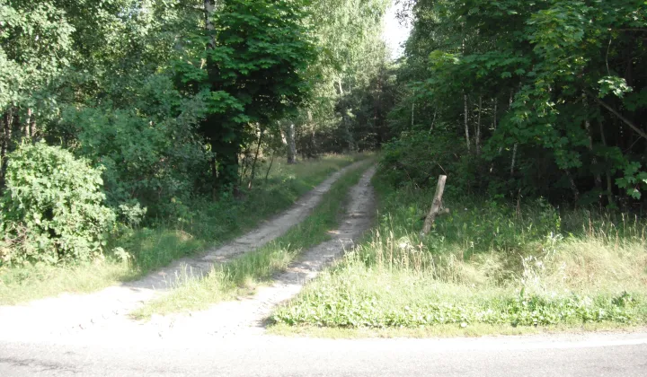 Działka rolno-budowlana Nowy Krysk