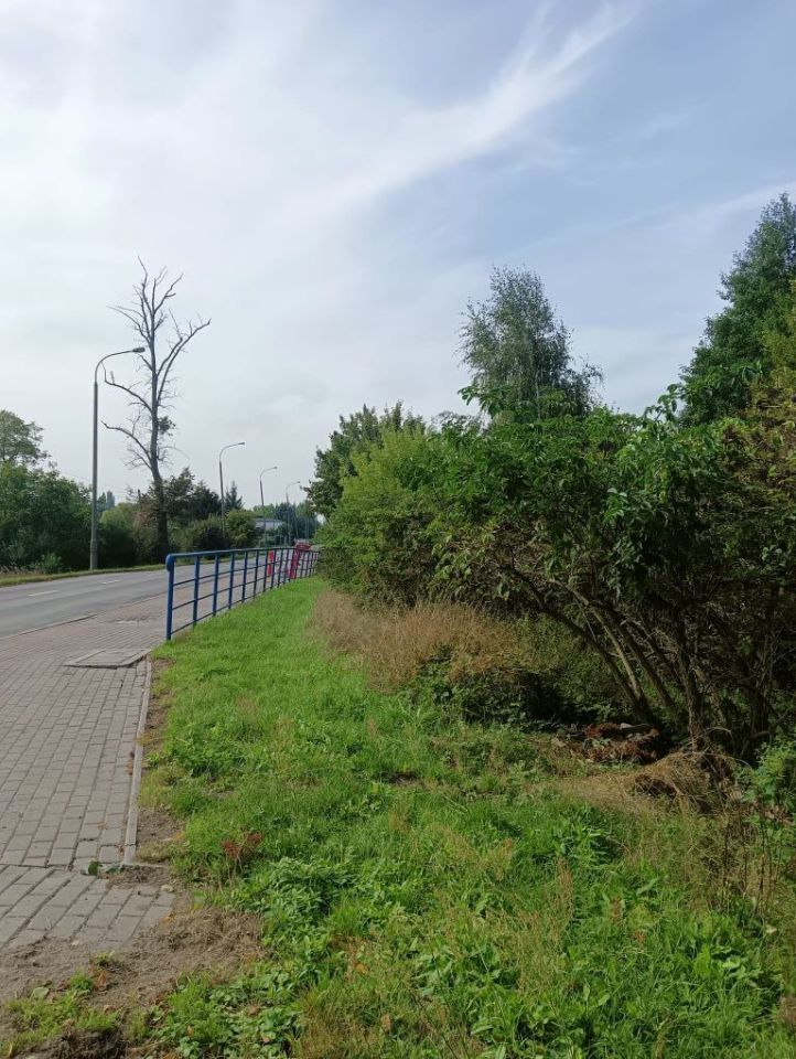 Działka rolna Wągrowiec, ul. Rogozińska. Zdjęcie 4