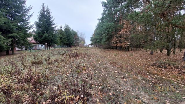 Działka siedliskowa Stanisławów. Zdjęcie 2
