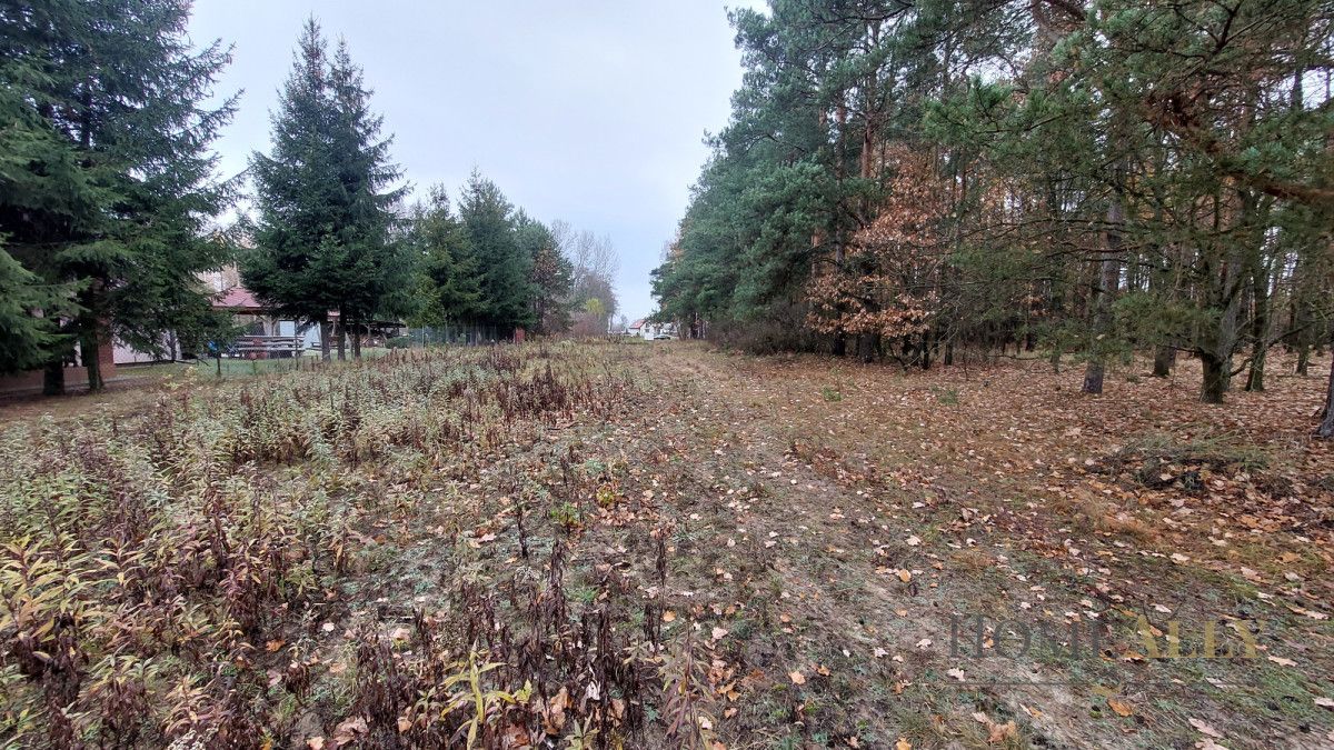 Działka siedliskowa Stanisławów. Zdjęcie 2