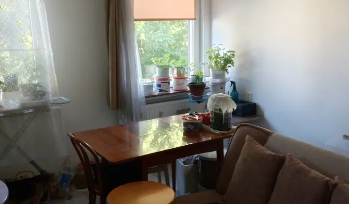 Mieszkanie 1-pokojowe Kołobrzeg Centrum, ul. Grochowska