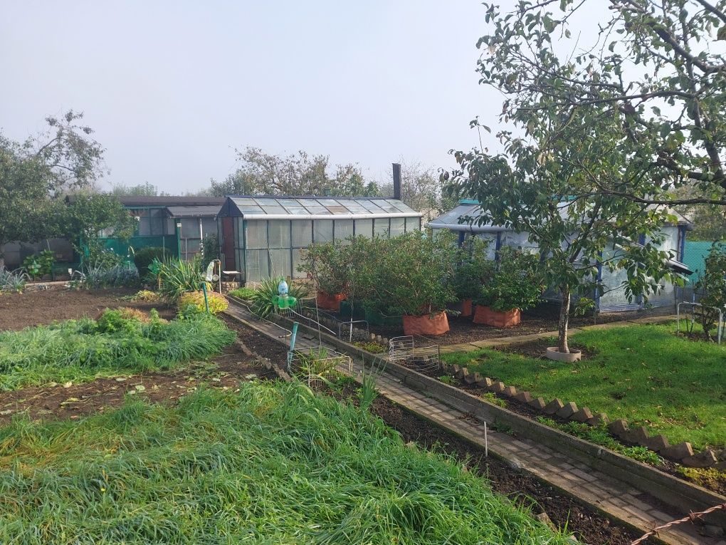 Działka rod Słupsk. Zdjęcie 6