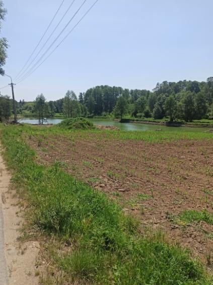 dom wolnostojący Szwelice. Zdjęcie 6