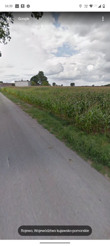 Działka rolno-budowlana Rojewo. Zdjęcie 4