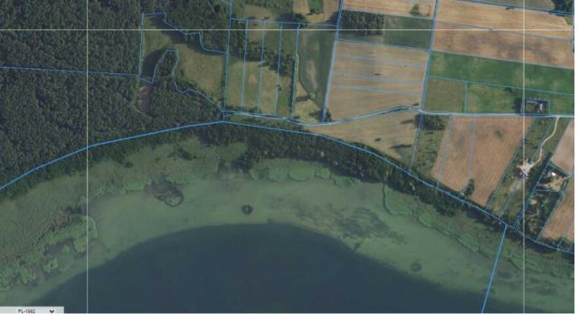 Działka rolna Dziubiele. Zdjęcie 9