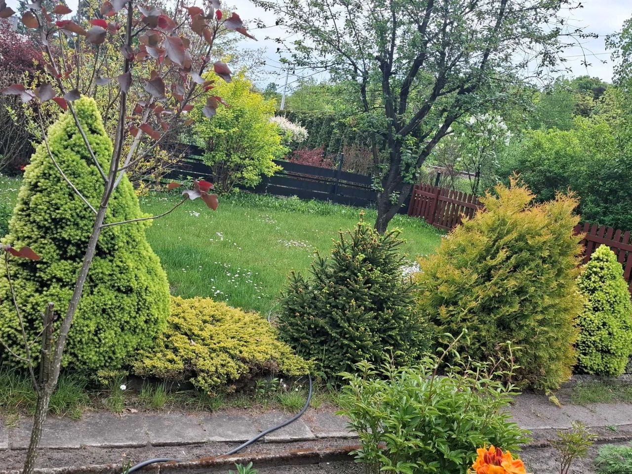 Działka rod Pabianice, ul. Olszynowa. Zdjęcie 5
