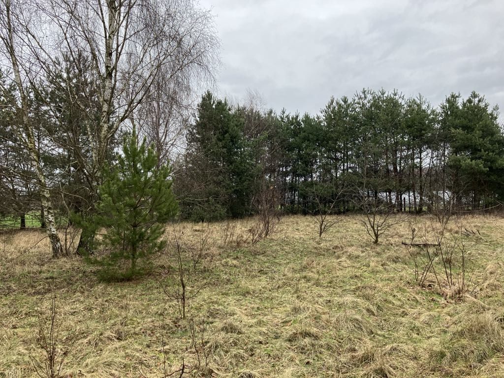 Działka budowlana Izabelów. Zdjęcie 3