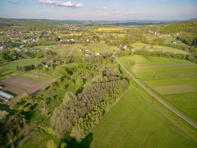 Działka leśna Cieszyna. Zdjęcie 12