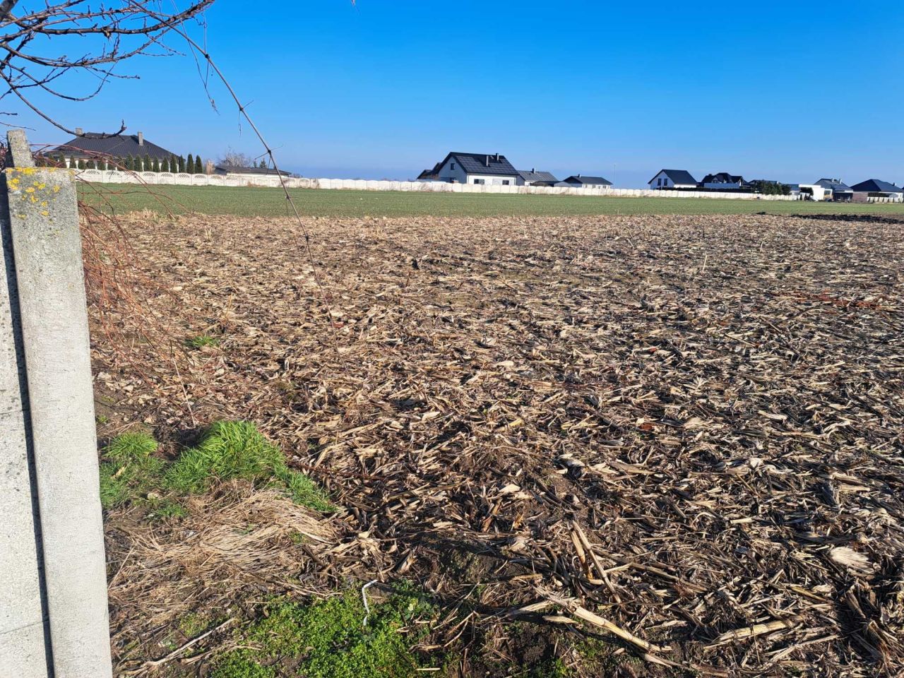 Działka budowlana Ociąż, ul. Zakrzewki. Zdjęcie 5