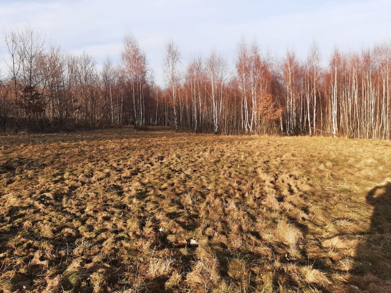 Działka inna Polanica-Zdrój Nowy Wielisław, ul. Władysława Reymonta. Zdjęcie 2