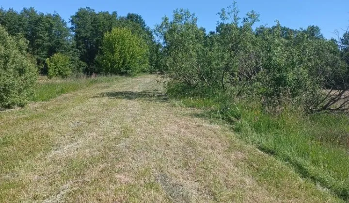 Działka budowlana Budy Ciepielińskie