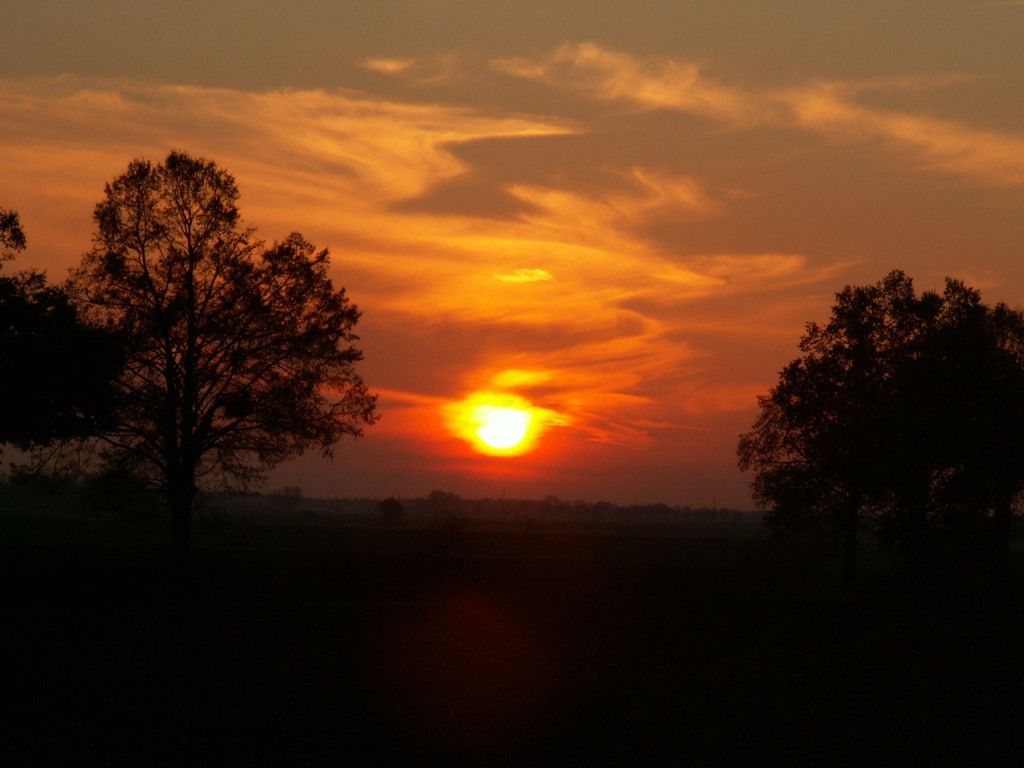 Działka rolna Sarnikierz. Zdjęcie 10