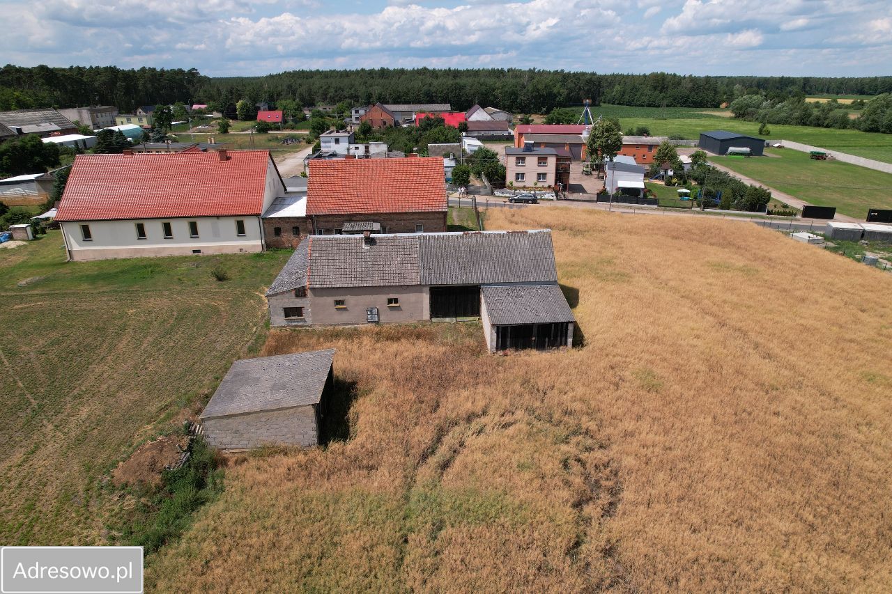 dom wolnostojący, 4 pokoje Brodziszewo, ul. Szamotulska. Zdjęcie 7