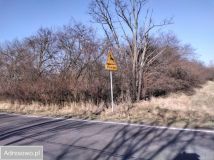 Działka rolno-budowlana Podkampinos. Zdjęcie 4