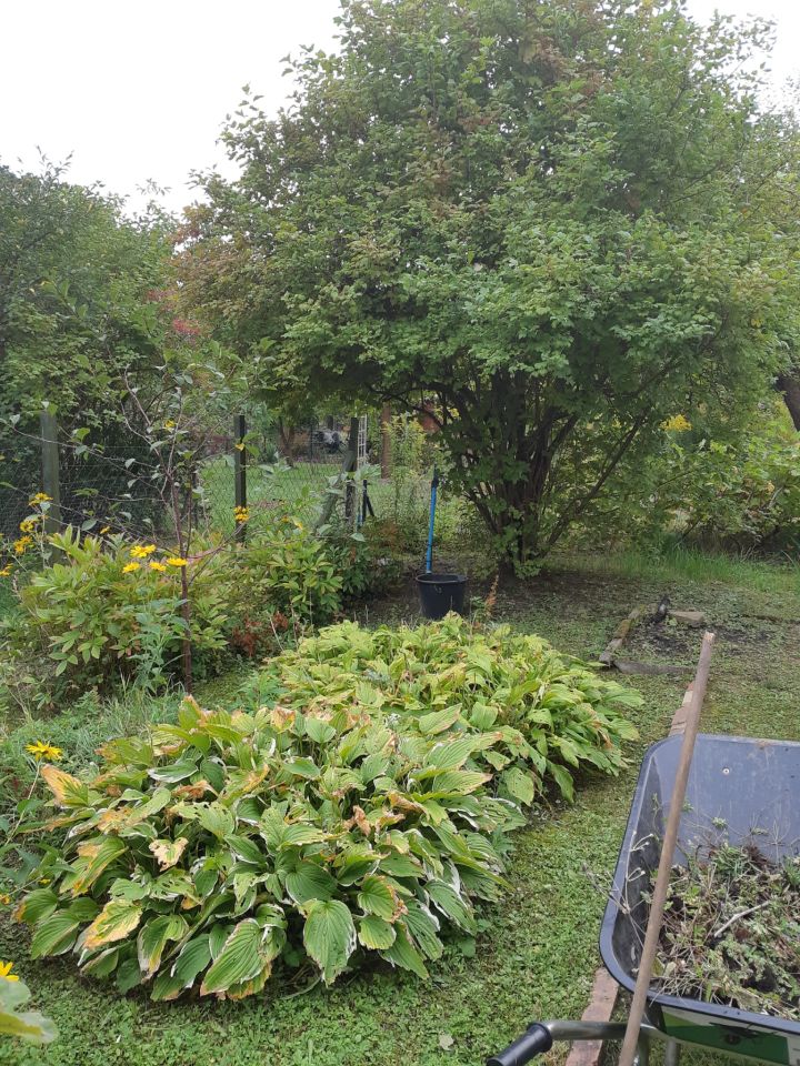 Działka rod Zielona Góra Centrum, ul. Andrzeja Struga. Zdjęcie 16