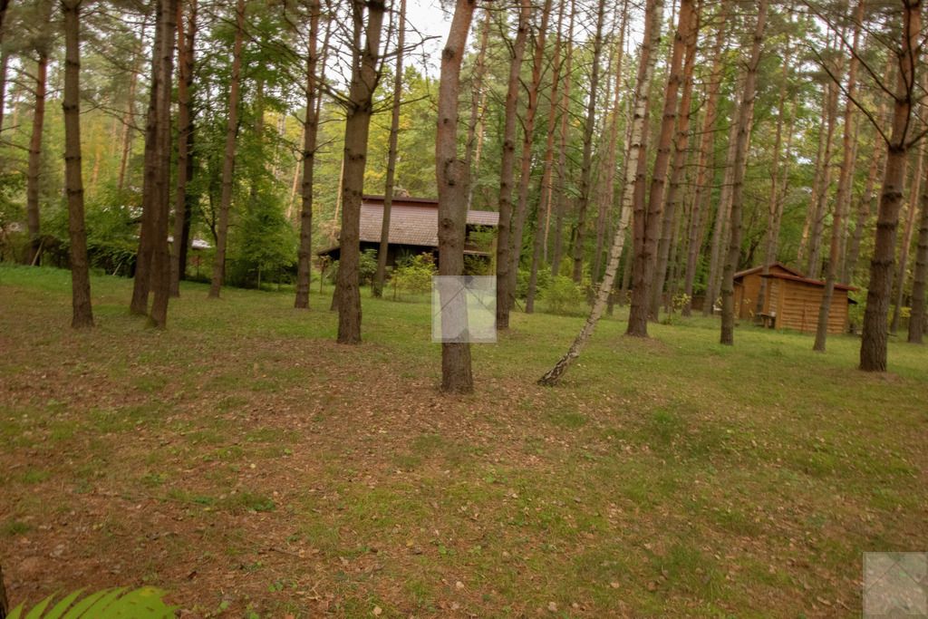 Działka rekreacyjna Radawa. Zdjęcie 14