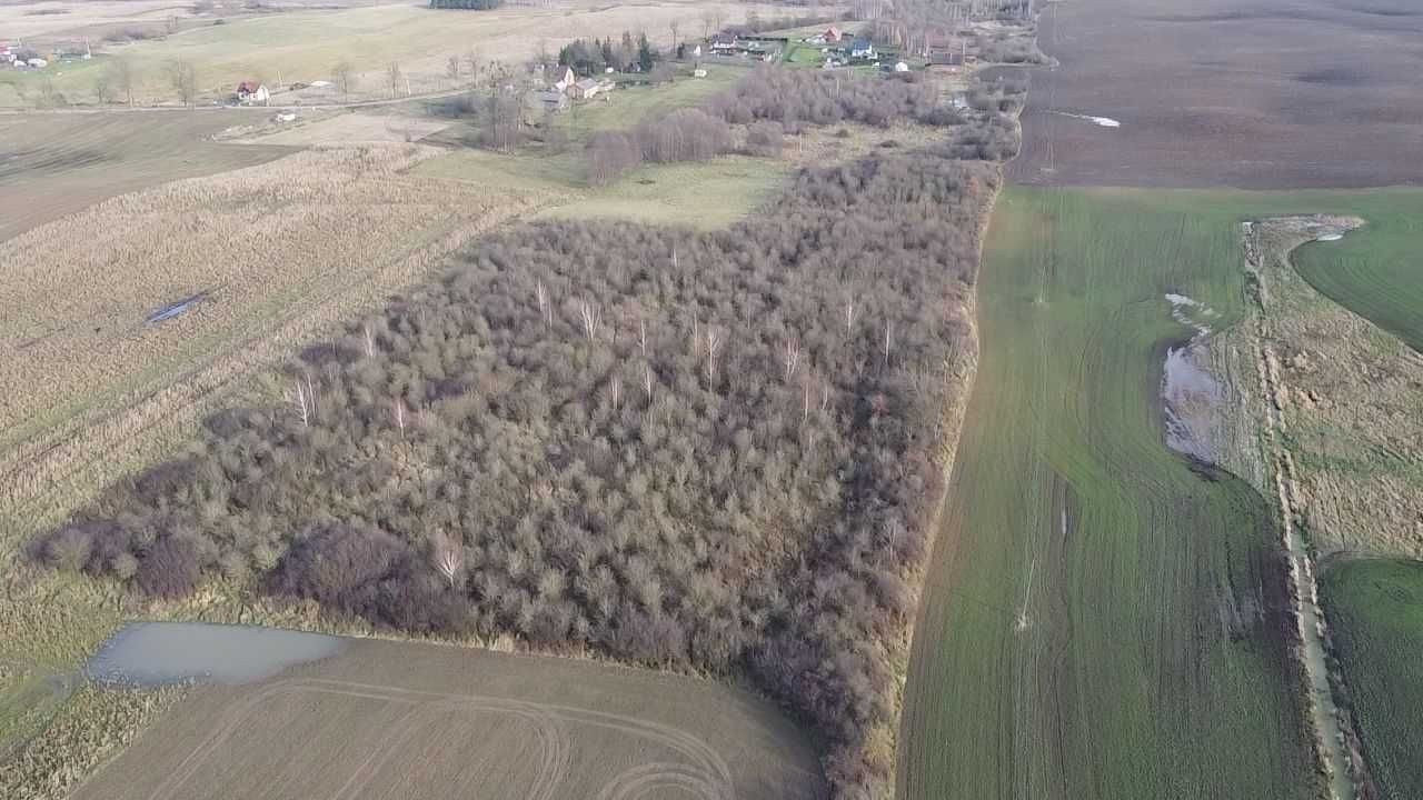 Działka rolna Dobrzyki. Zdjęcie 2