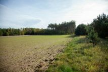 Działka inna Żołędowo. Zdjęcie 3