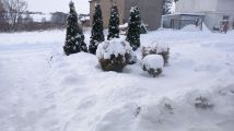 dom wolnostojący, 4 pokoje Jabłonowo Pomorskie Wila, ul. Parkowa. Zdjęcie 3