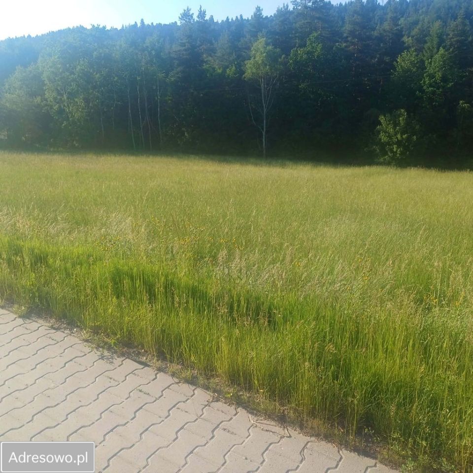 Działka inwestycyjna Zamieście. Zdjęcie 8