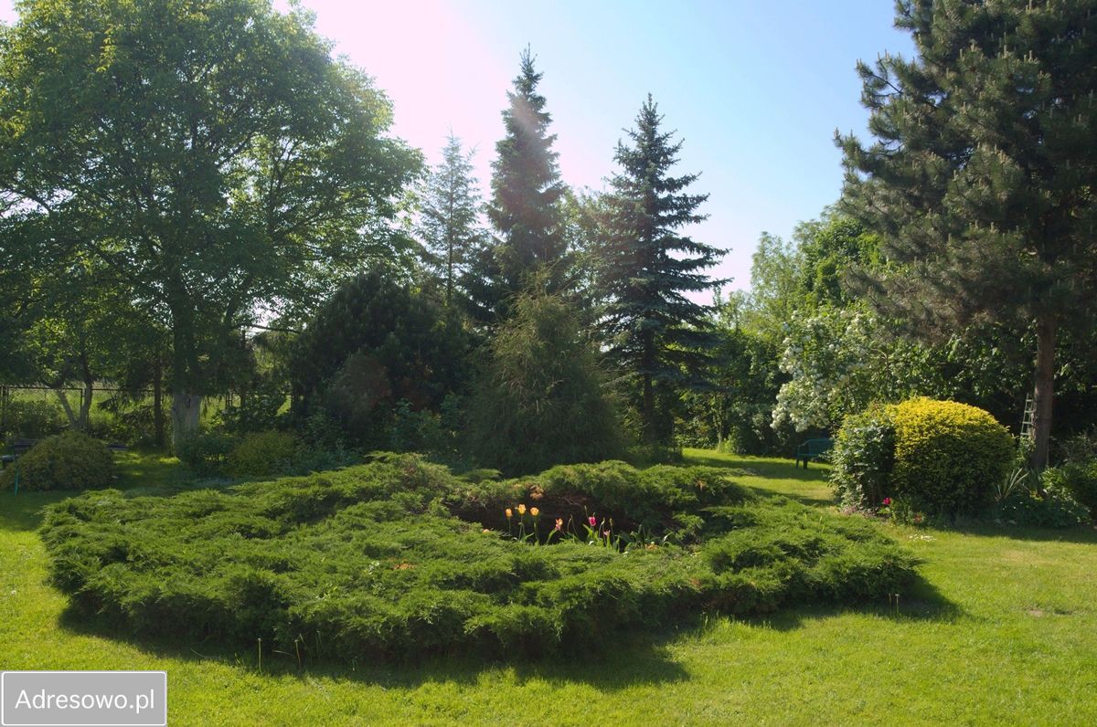 dom wolnostojący, 7 pokoi Stargard Centrum. Zdjęcie 17