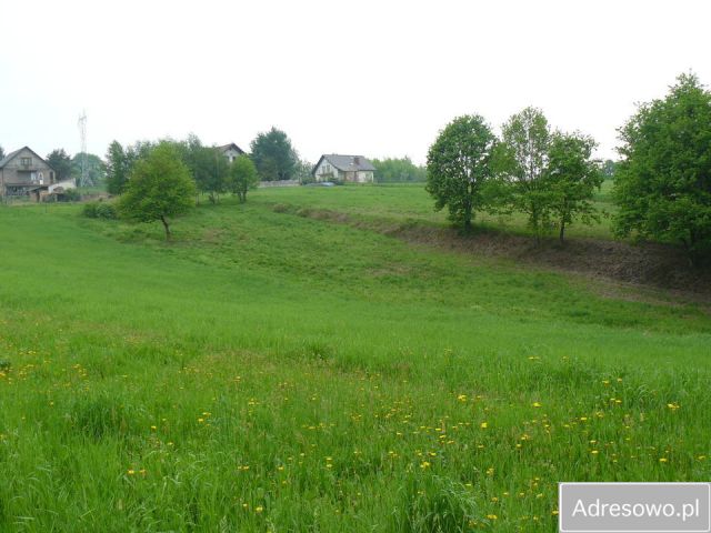 Działka budowlana Jurczyce. Zdjęcie 1