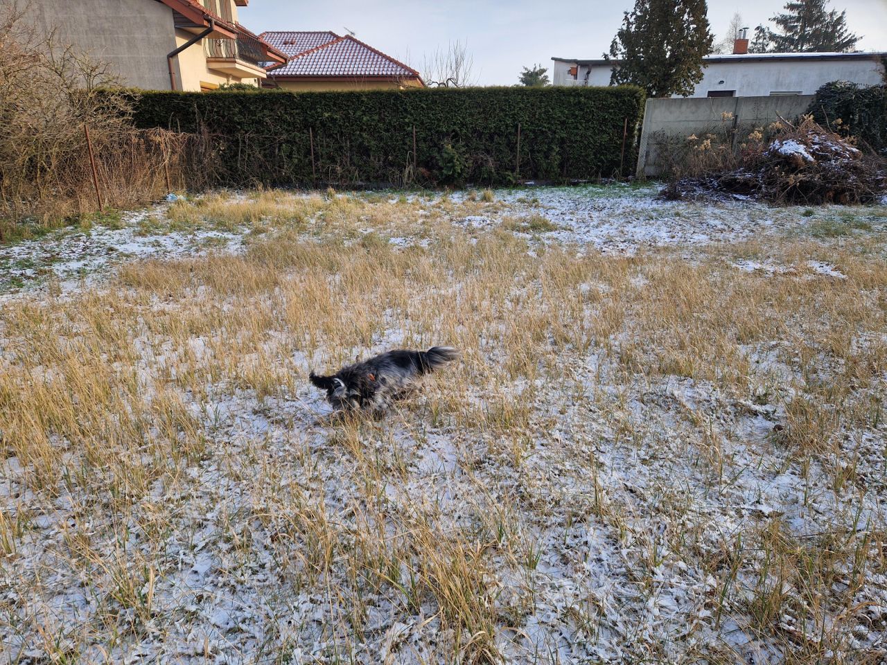 Działka budowlana Ciechocinek, ul. gen. Józefa Bema. Zdjęcie 6