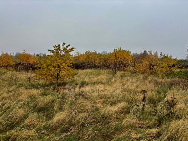 Działka inwestycyjna Drewnica, ul. Kasztanowa. Zdjęcie 3