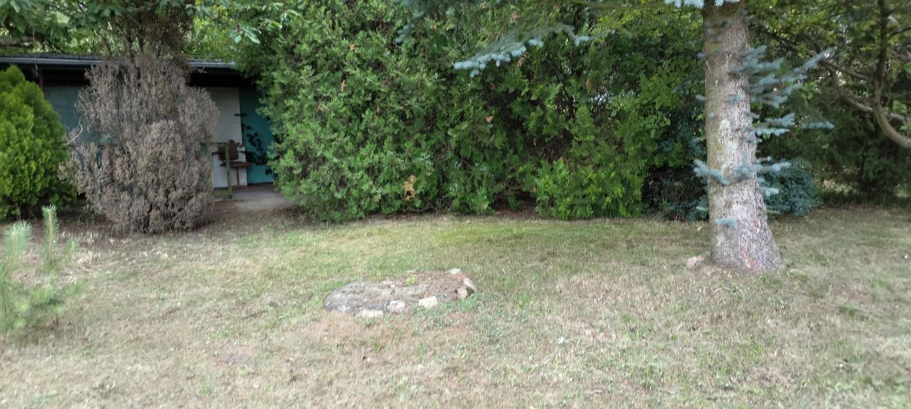 Działka rod Ruszków Pierwszy. Zdjęcie 2