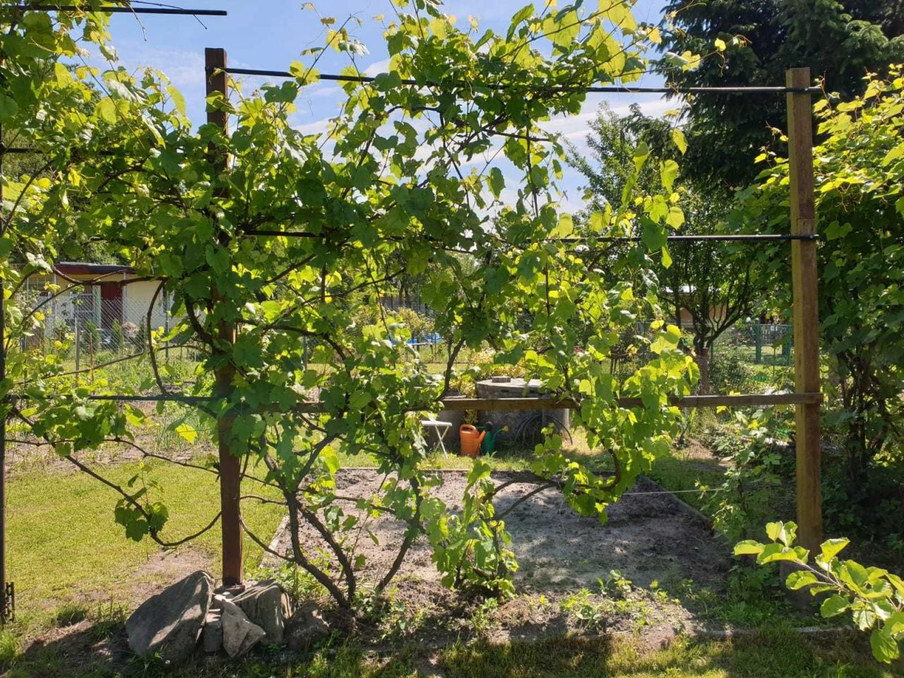 Działka rod Gliwice Kopernik, ul. Myśliwska. Zdjęcie 3