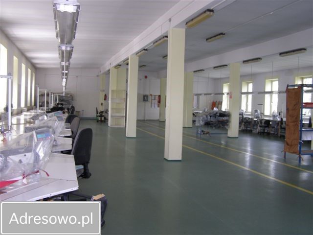 Hala/magazyn Głuchołazy, ul. Kolejowa. Zdjęcie 5