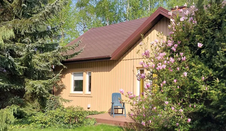 dom wolnostojący, 5 pokoi Leszno, ul. Podzaborówek