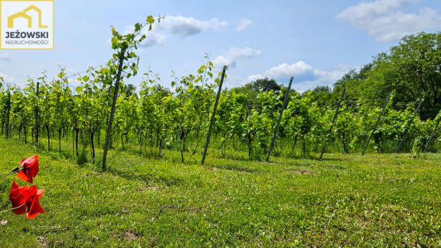 dom wolnostojący, 8 pokoi Kazimierz Dolny, ul. Nadedworce. Zdjęcie 22