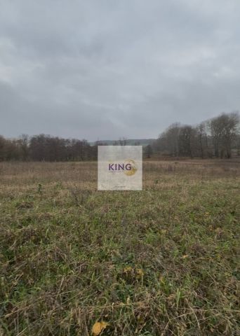 Działka rolna Dębogóra. Zdjęcie 2