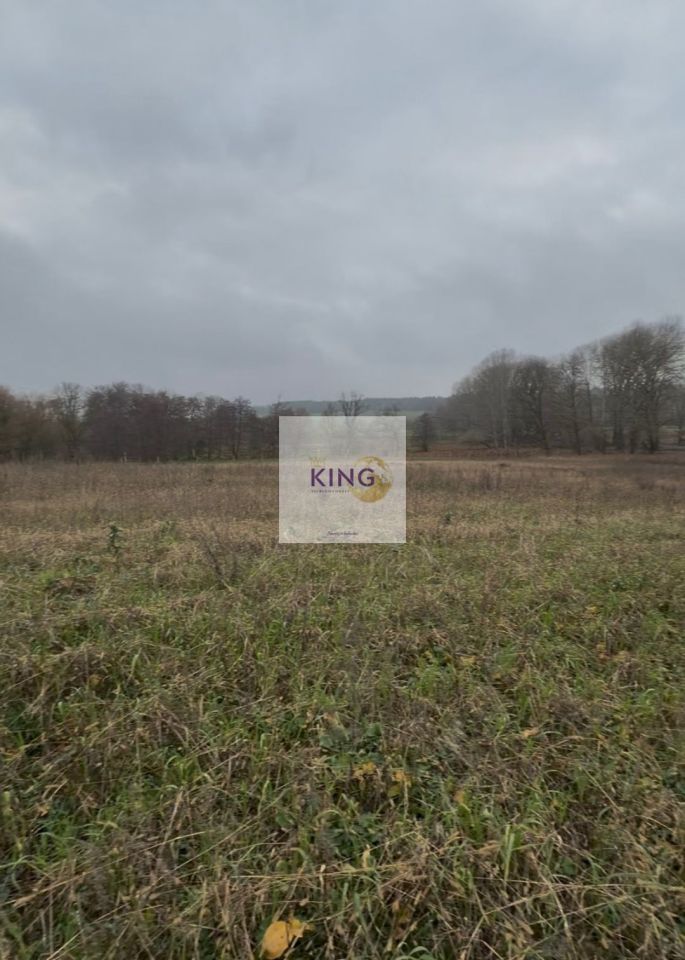 Działka rolna Dębogóra. Zdjęcie 2