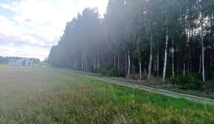 Działka budowlana Laski