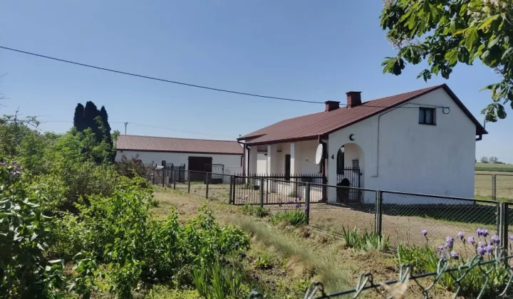 dom wolnostojący Gole