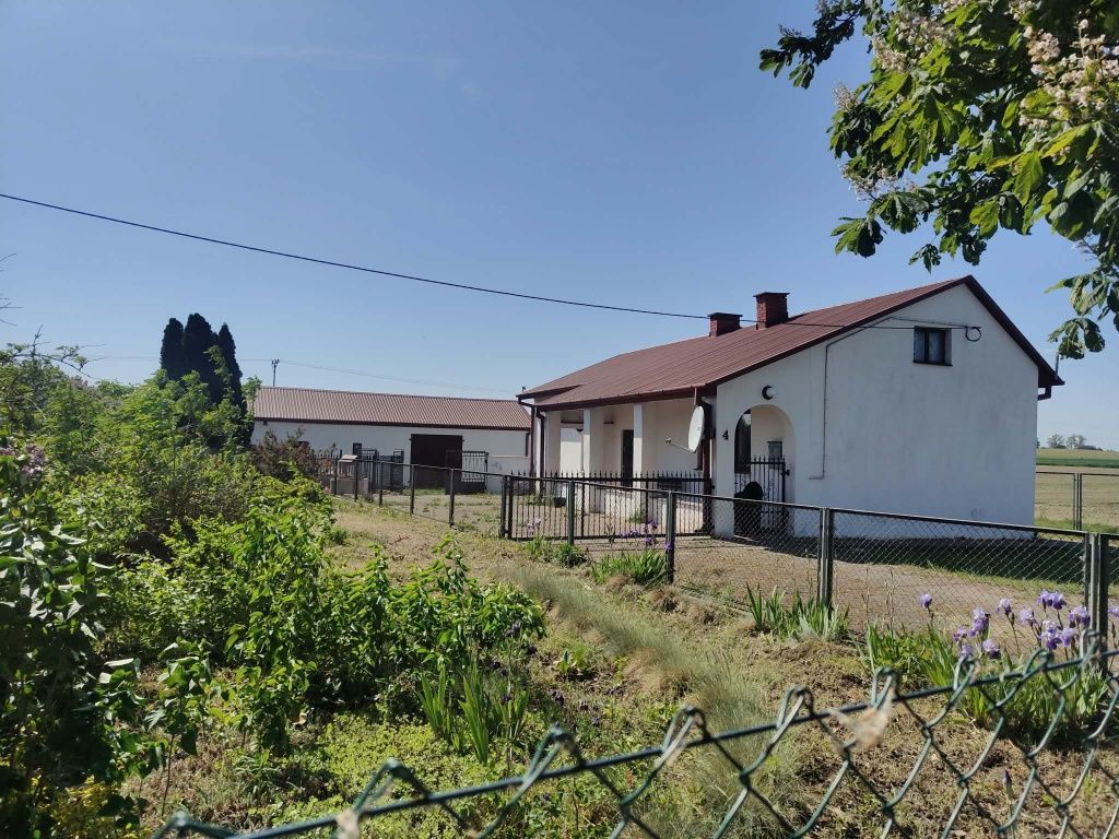 Dom – Gole, powiat włocławski