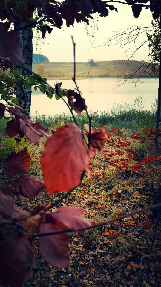 Działka budowlana Przęsin. Zdjęcie 5